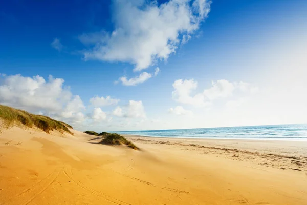 Dunas Arena Playa Costa Oeste California Día Soleado Con Pequeñas — Foto de Stock