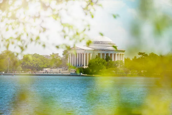Cuenca Marea Thomas Jefferson Memorial Través Hojas Verdes Árboles Primavera — Foto de Stock