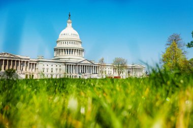 ABD Kongre Binası 'nın Washington D.C.' deki taze yeşil çimenler üzerindeki görüntüsü..