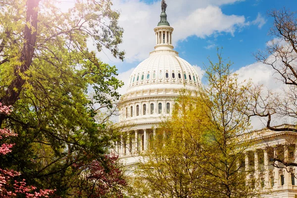 Blick Vom Washingtoner Regierungsdom Capital Building — Stockfoto