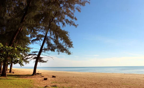 Prachtig Strand Landschap Met Blauwe Hemel Gele Zand Bomen — Stockfoto