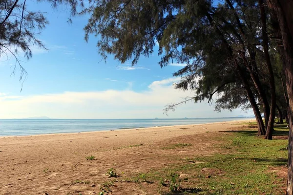 ชายหาดท สวยงาม องฟ ทรายส เหล องและต นไม — ภาพถ่ายสต็อก