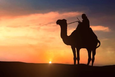 Gün batımında çölde deve silueti üzerinde Adam
