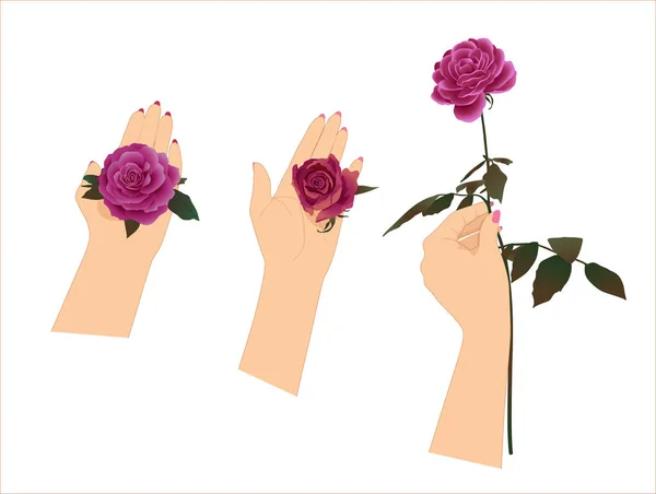 Mains aux roses — Image vectorielle