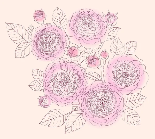 一丛簇红宝石玫瑰 — 图库矢量图片