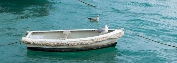 Möwen Oder Möwen Boot Der Luft Fliegend Und Stehend Auf — Stockfoto