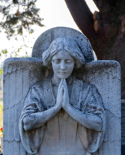 Uma Lápide Anjo Rezando Cemitério — Fotografia de Stock