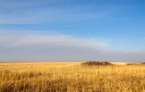 Wheat Fields Countryside Sun Blue Sky — Stock Photo, Image