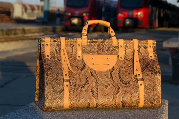 Cestovní Kožená Taška Kůže Python Hadí Kůže Taška Ručně Vyráběné — Stock fotografie