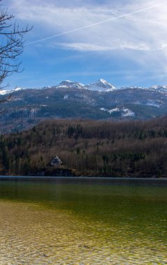 Dağ gölü Bohinj