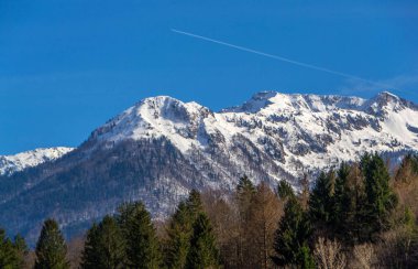 Alp Dağ doruklarına