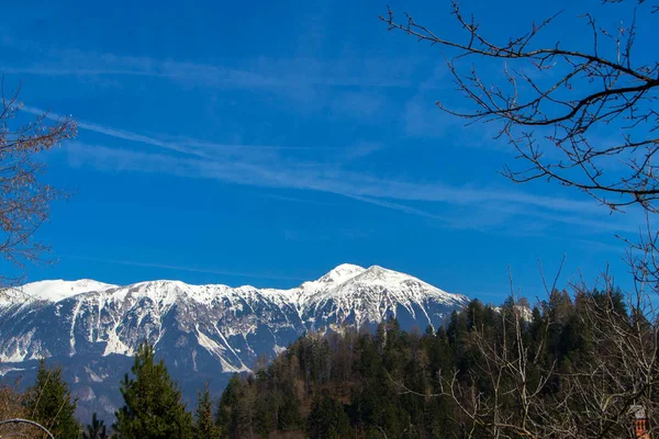 Bergstoppar i Alperna — Stockfoto