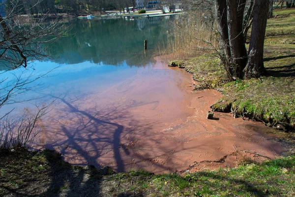 Agua contaminada en el lago Imágenes de stock libres de derechos