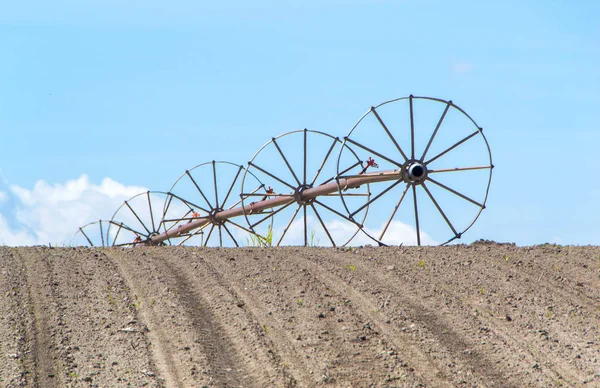 Campo com sistema de irrigação — Fotografia de Stock