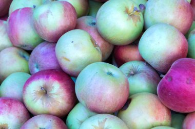 Elmalar, yakın çekim