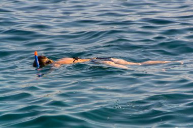 Denizde yüzme genç kız