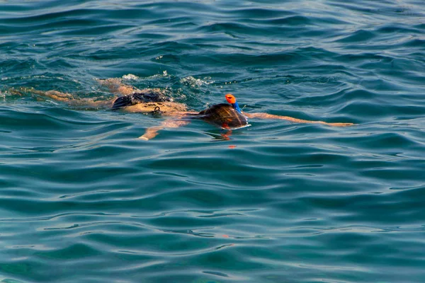 Junges Mädchen schwimmt im Meer — Stockfoto