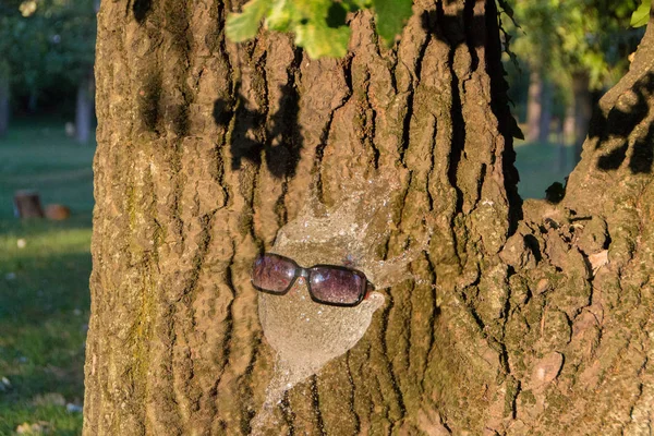 Ett ansikte tillverkat av vatten — Stockfoto