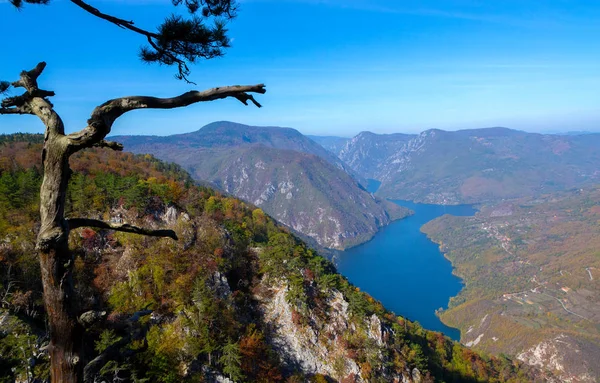 Nehir ve dağlara bakış açısıyla bak