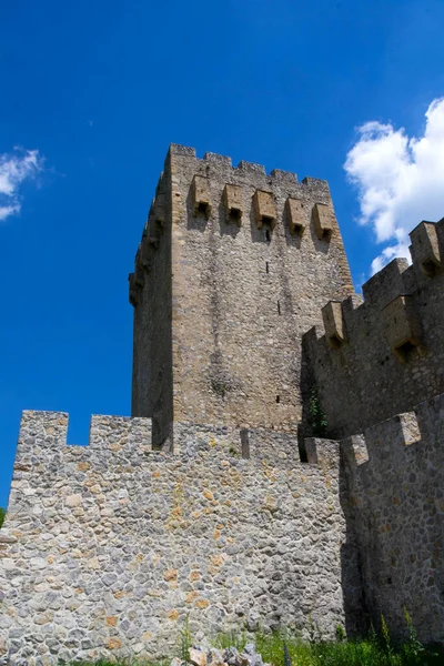 Monasterio Manasija Monasterio Ortodoxo Serbio Cerca Despotovac Serbia Fundado Por —  Fotos de Stock