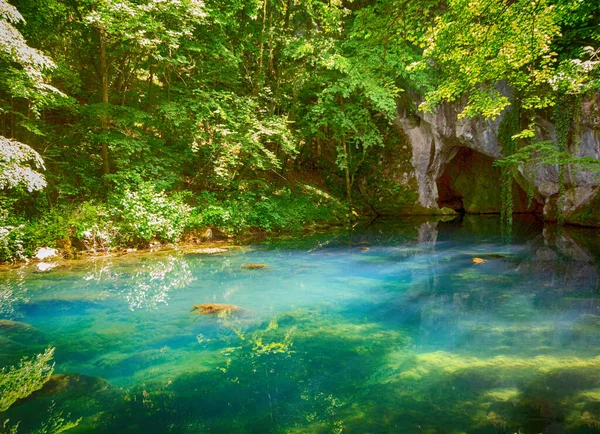 Källan Till Floden Krupaja Serbien Som Växer Grotta Bild Stockbild