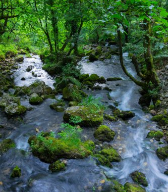 Küçük dağ nehri, dere - yukarıdan görünüm - görüntü