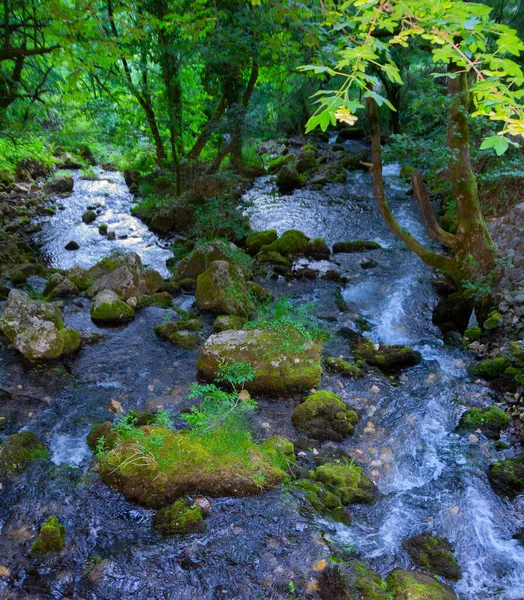 Kleiner Gebirgsfluss Bach Blick Von Oben Bild — Stockfoto