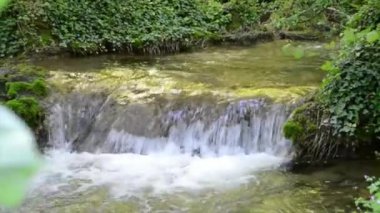 Dağda nehir, Sırbistan 'ın batısında. Güzellik dünyası