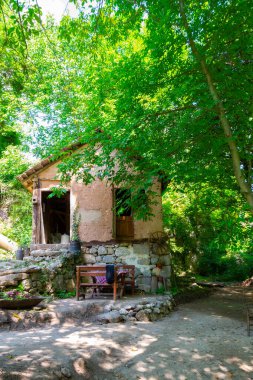 Sırbistan 'ın doğusunda küçük bir nehirde eski bir değirmen. - Görüntü