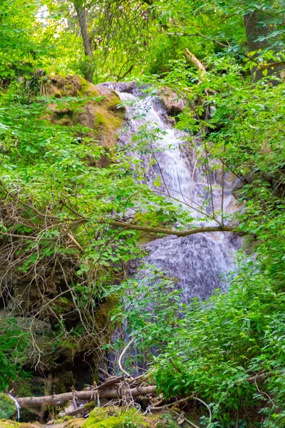 Splendida Cascata Nella Foresta Immagine — Foto Stock