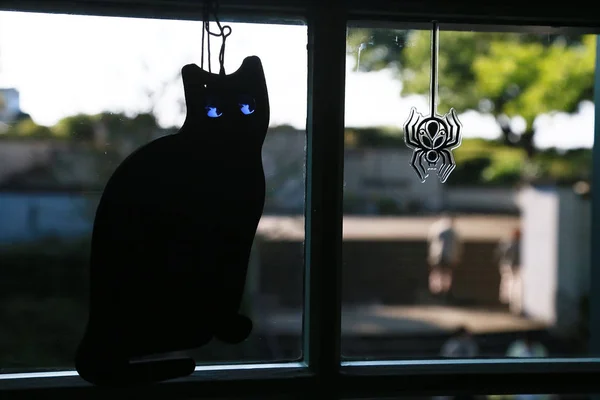 Pemandangan Dekorasi Dari Jendela Ruangan Seekor Kucing Dan Seekor Laba — Stok Foto