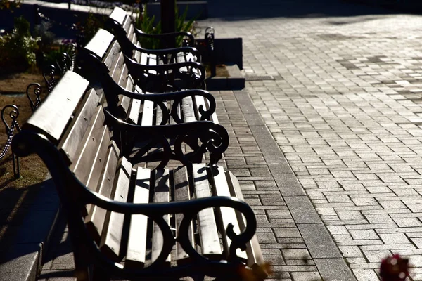 Scena Brukowca Park Ławka Zachodzie Słońca Oświetlenie Park — Zdjęcie stockowe