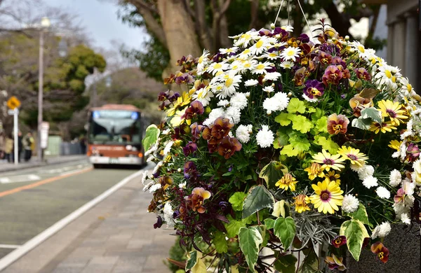Flower decoration beside the running road of the Japanese bus of the day when it was fine