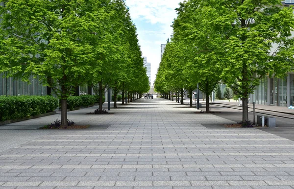 Escena Avenida Verde Ciudad Del Día Del Cielo Azul Que —  Fotos de Stock