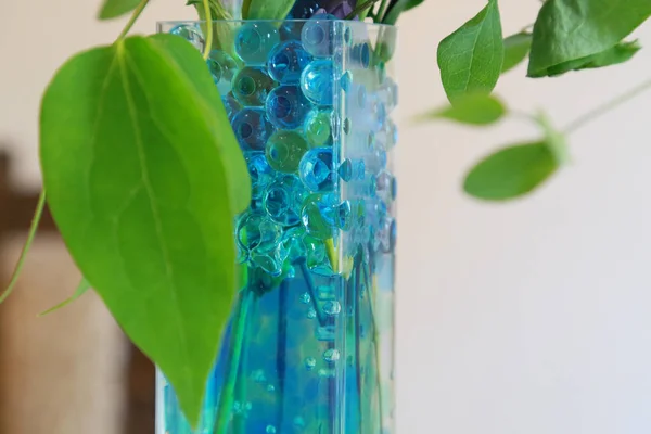 Mavi jellyball ve cam vazo yeşil yaprakları