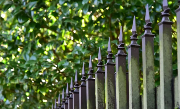 Sahne arasında ne zaman o was para cezası gün park yeşil çit