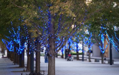 Sahne Aydınlatmaları Caddesi'nin ağacının mavi                               