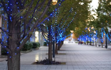 Sahne Aydınlatmaları Caddesi'nin ağacının mavi                               