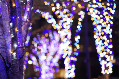   Kasabanın sokak ağacının aydınlatılmaları gece görünümü                             