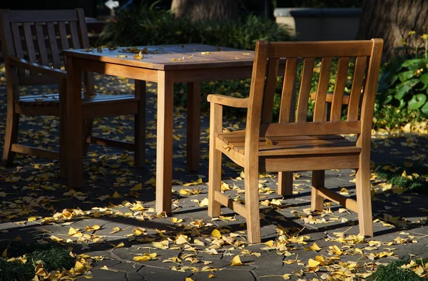 Sonniger Tag Garten Holztisch Und Stühle — Stockfoto