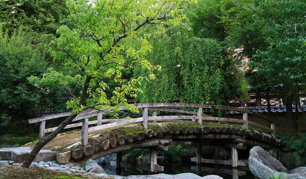 Vieux Pont Bois Dans Vert Forêt — Photo