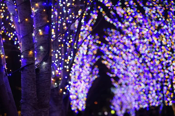 Vista Noturna Iluminação Luz Azul Decorada Árvores Rua Cidade — Fotografia de Stock