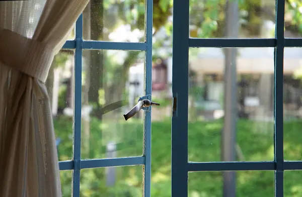 Grüne Szene Aus Dem Fenster Des Zimmers Des Tages Sehen — Stockfoto