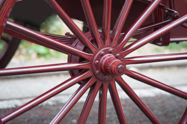 Eski at arabasının çarkının merkezi.                               