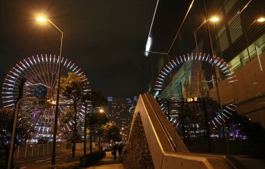 Dönme dolabın gece görüşü binanın camına yansıyordu.