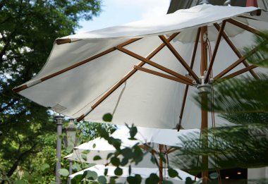 Günün terasol güneşliği, hava güzelken.                               