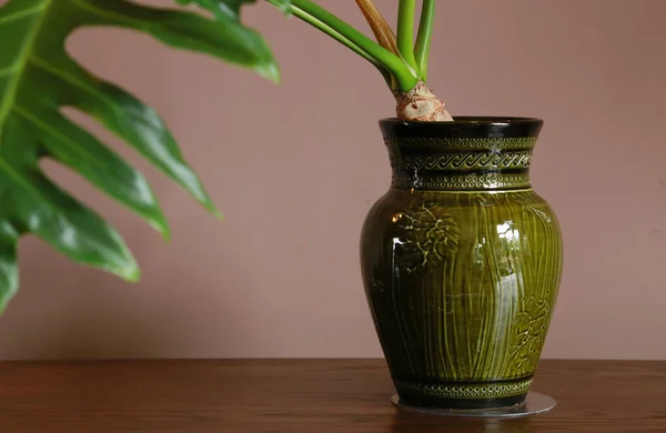 部屋の緑の花瓶 — ストック写真