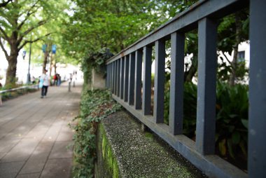 Bahçenin çiti ve yeşil ağaçlı kaldırım.