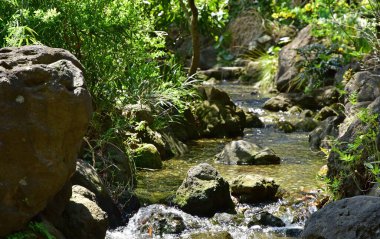 Yeşilin ve derenin akışı