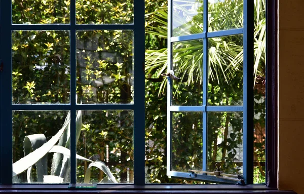 Vert Jardin Voir Par Une Fenêtre — Photo